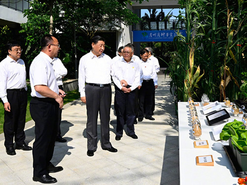 习近平在海南三亚市考察调研